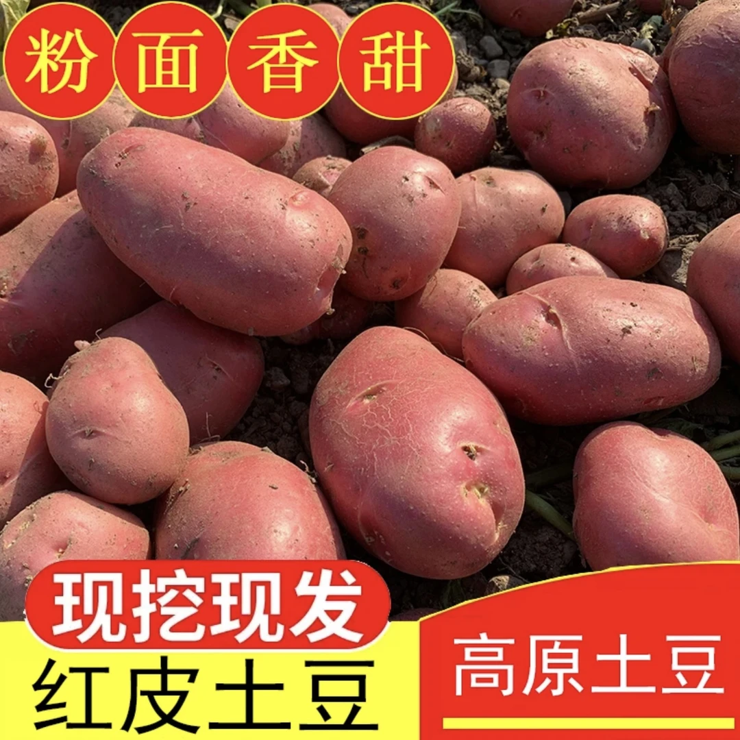 云南红皮黄心土豆-3斤