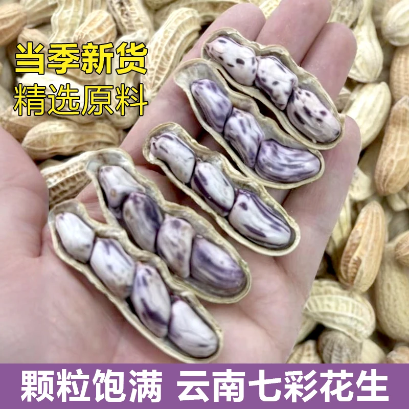 黑花生带壳新花生水煮咸干新鲜晒干颗粒饱满花生米