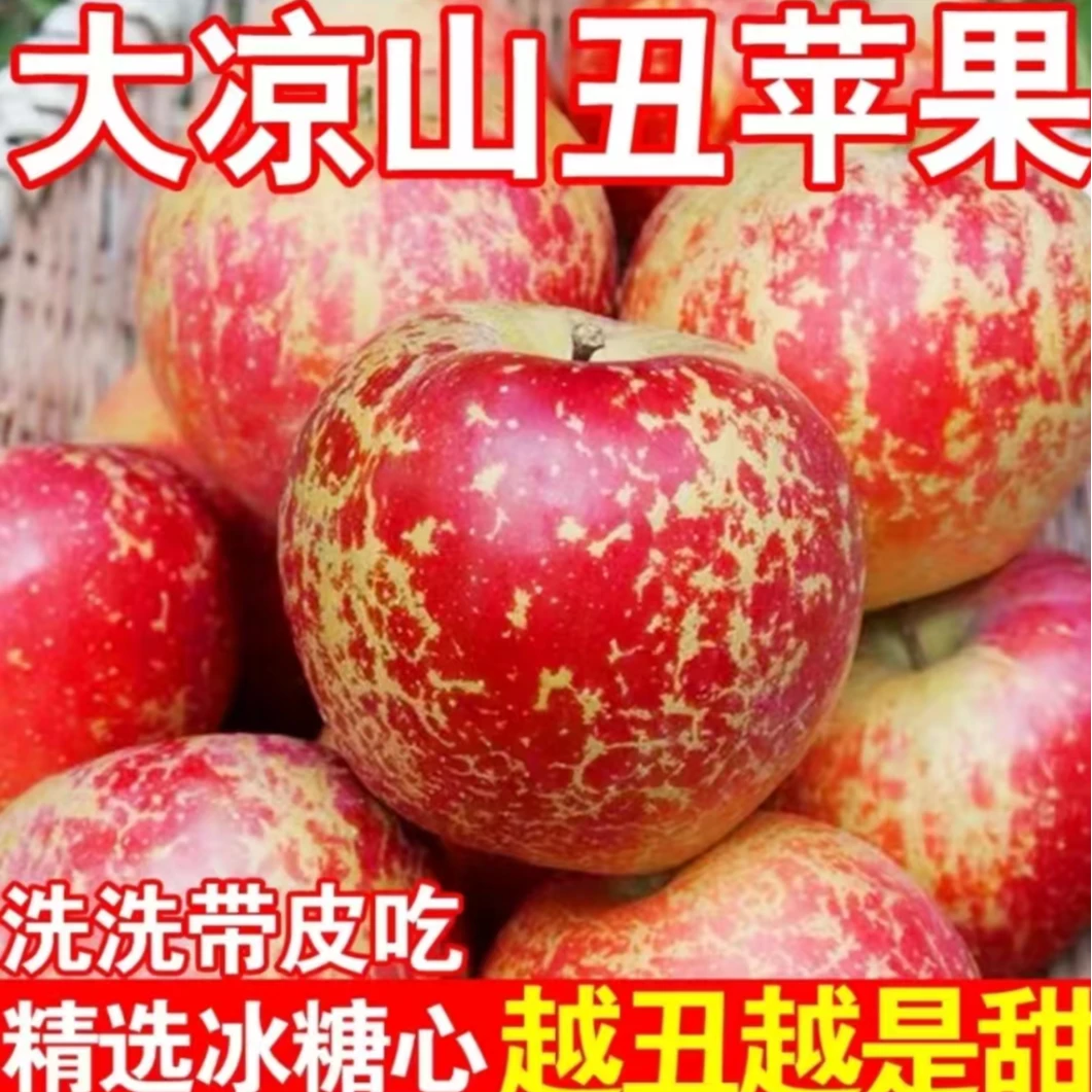 S3【5斤包邮四川大凉山糖心丑苹果】新鲜水果早熟脆甜多汁现摘现发