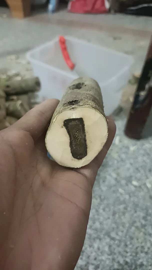 定制DlY奇楠沉香原木多样性发货1件