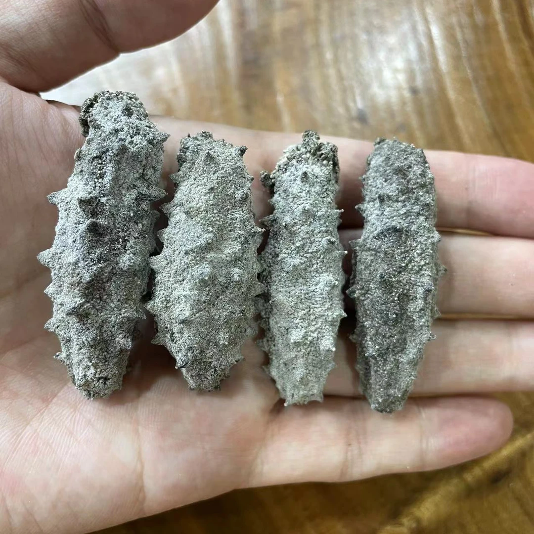 【老辈老淡干】侯大叔老淡干深海海参滋补海参50-60头/斤500g