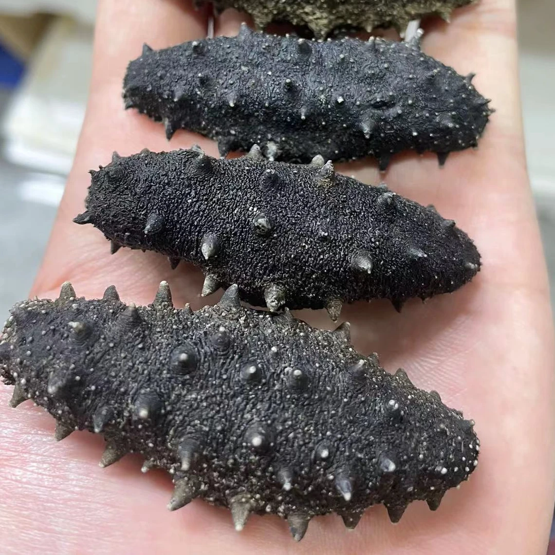 【侯大叔推荐】深海纯野生淡干深海海参海参批发滋补营养250g