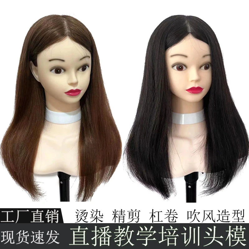 厂家直销经典头模真发理发学徒练习剪发模型可烫染造型公仔模特头