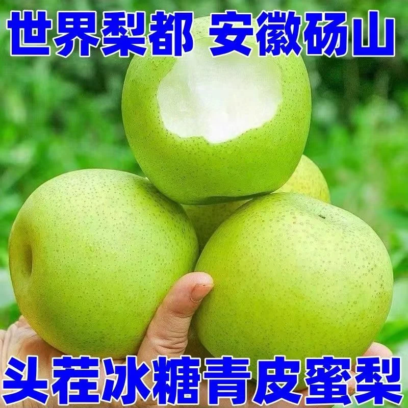 LL砀山青皮皇冠梨皮薄酥脆多汁现摘应季水果带箱3斤5斤包邮