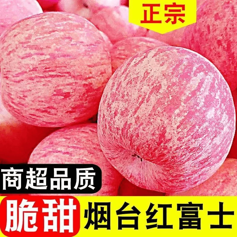【正宗】山东烟台新鲜红富士苹果水果当季新鲜水果脆甜多汁产地直发