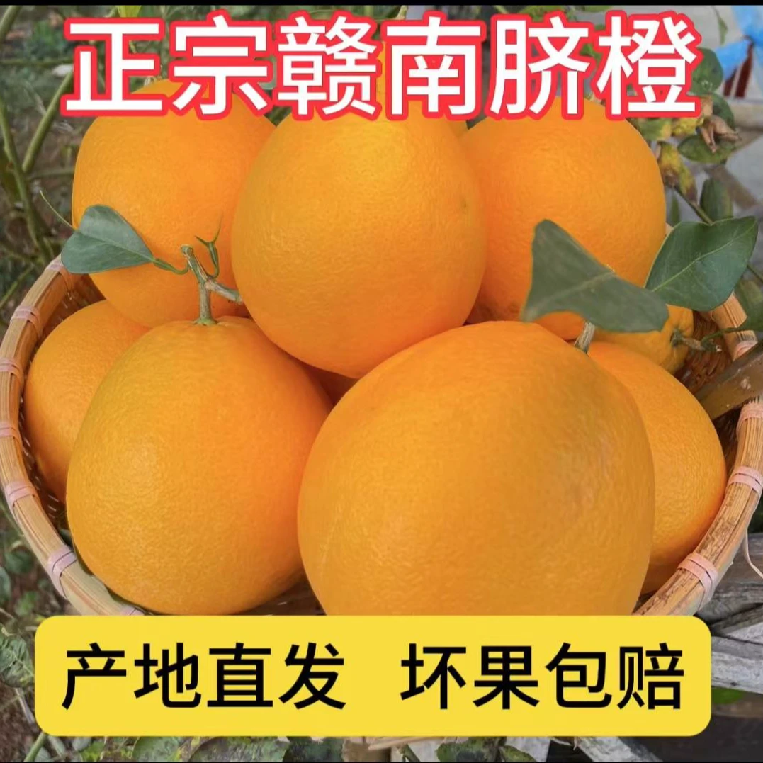 正宗赣南脐橙10斤江西赣州发货新鲜采摘好吃脐橙水分充足快递地区