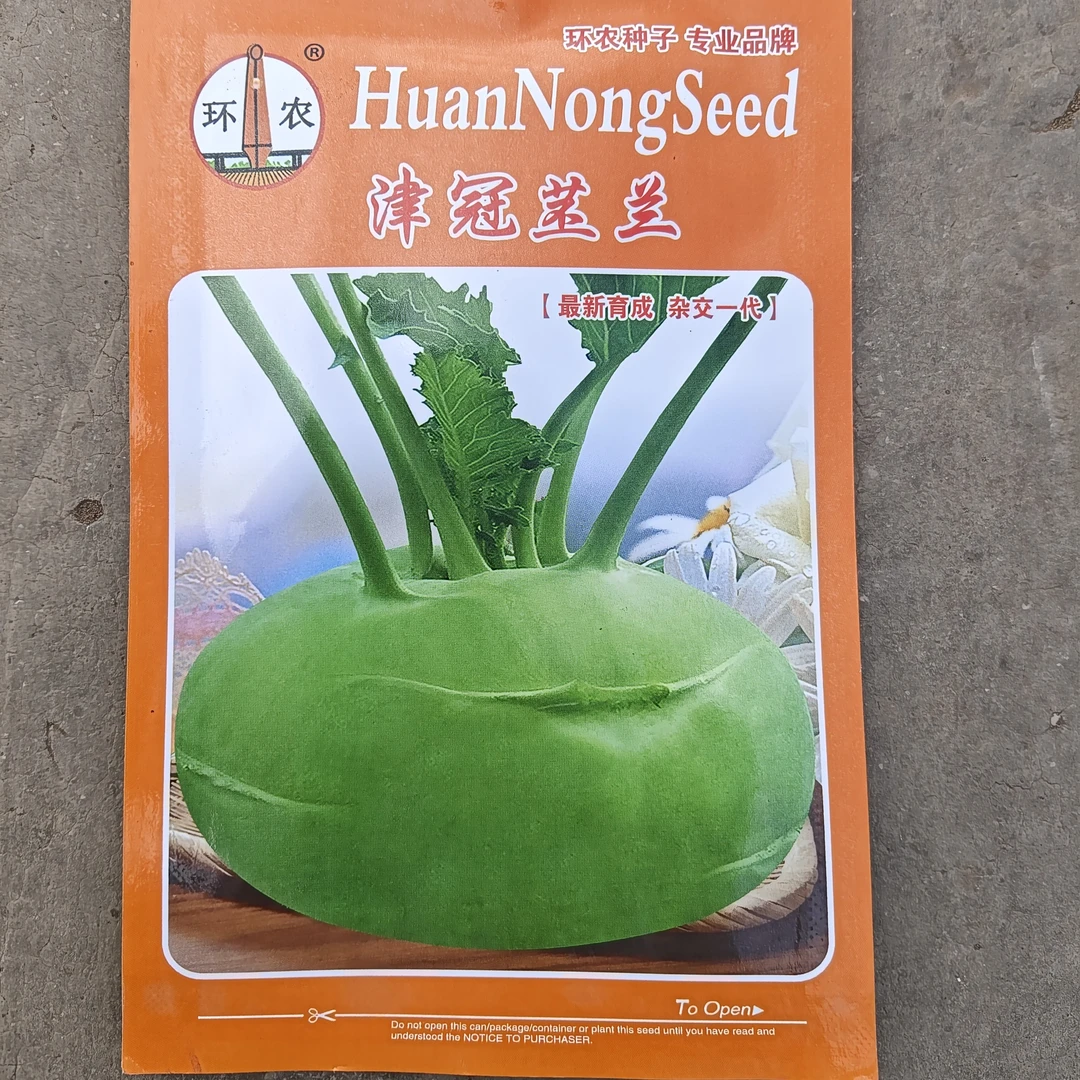 丕兰秧苗，定植45天左右收，皮薄，脆甜，球色鲜绿