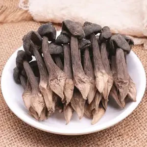 云南 高山菌/鸡枞/干货