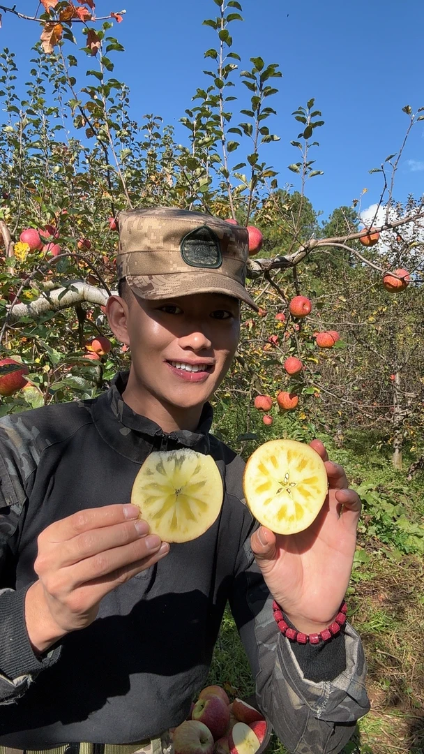 【阿班长推荐】糖心苹果