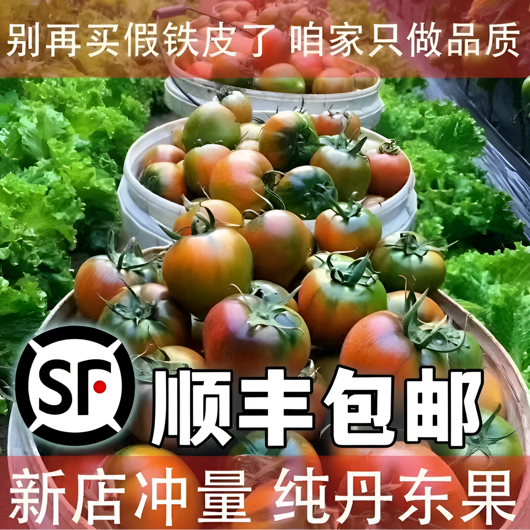 铁皮产地柿子丹东特产整箱铁皮西红柿盐碱地柿子东北水果自然成熟