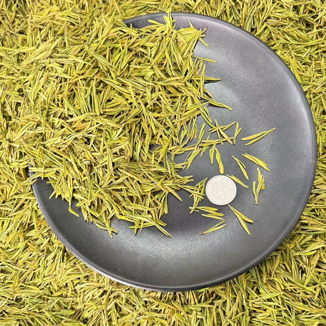 2023年春茶！《H20》花果香黄金芽