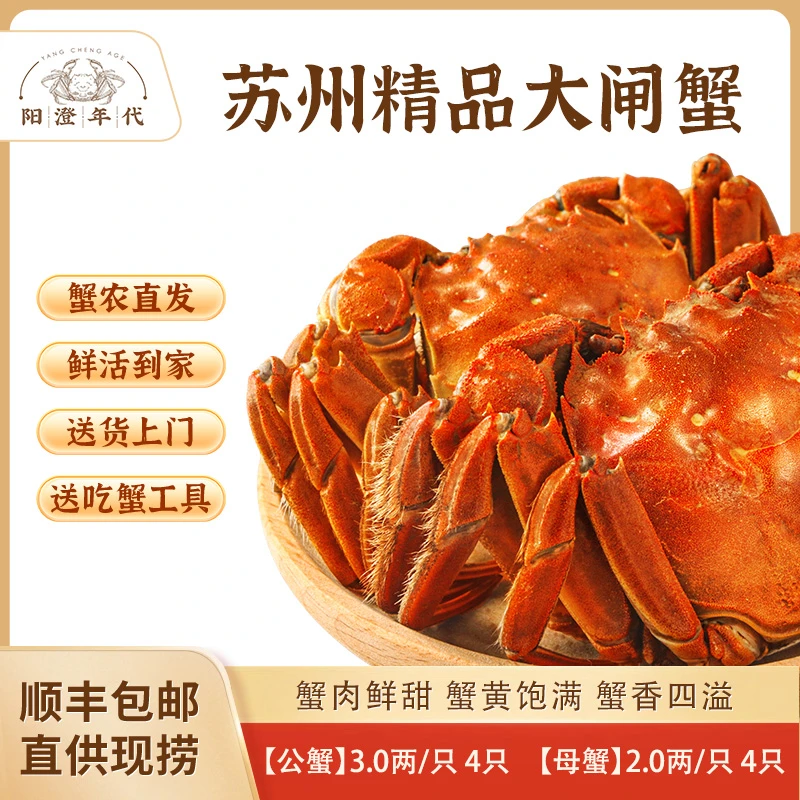 【活蟹】阳澄年代苏州精品大闸蟹 公蟹3两 母蟹2两套餐 8/10只装