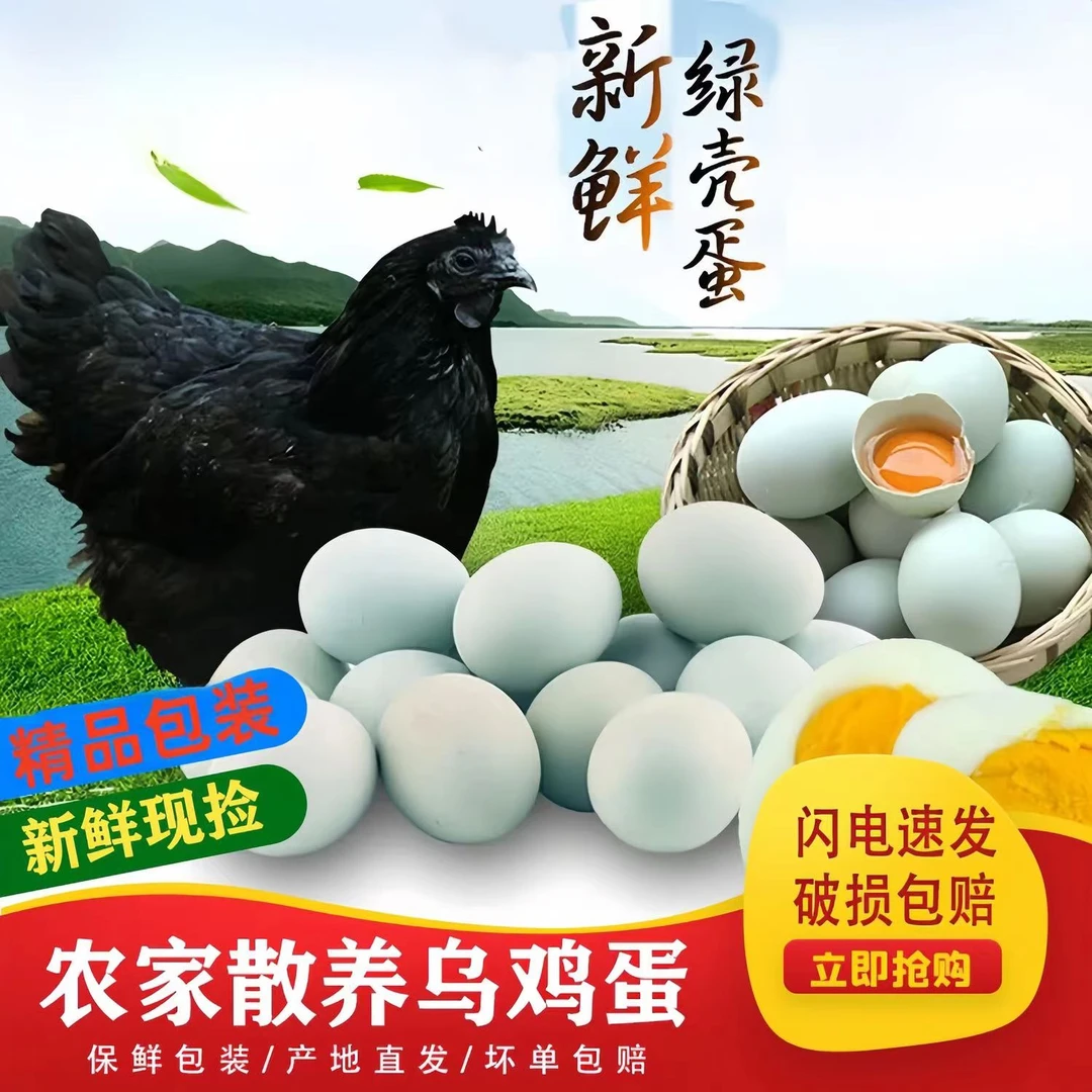 甄选农家散养山林乌鸡蛋新鲜现捡40枚包邮乌鸡绿皮鸡蛋