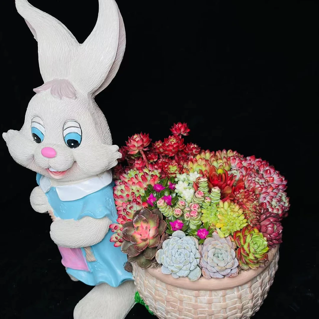 （专属）兔子盆   多肉造型盆栽好种好 带盆发货