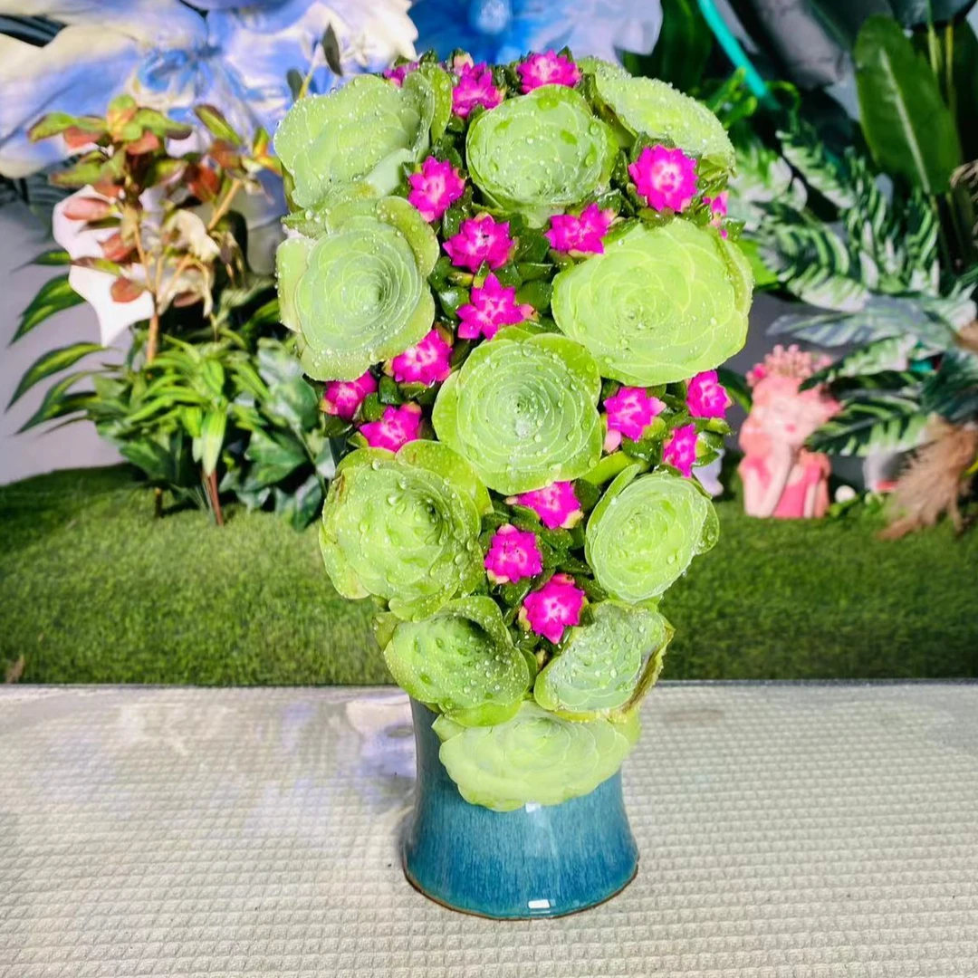 可爱玫瑰 精品多肉飞花造型盆 栽好种好新人可养 带盆发货