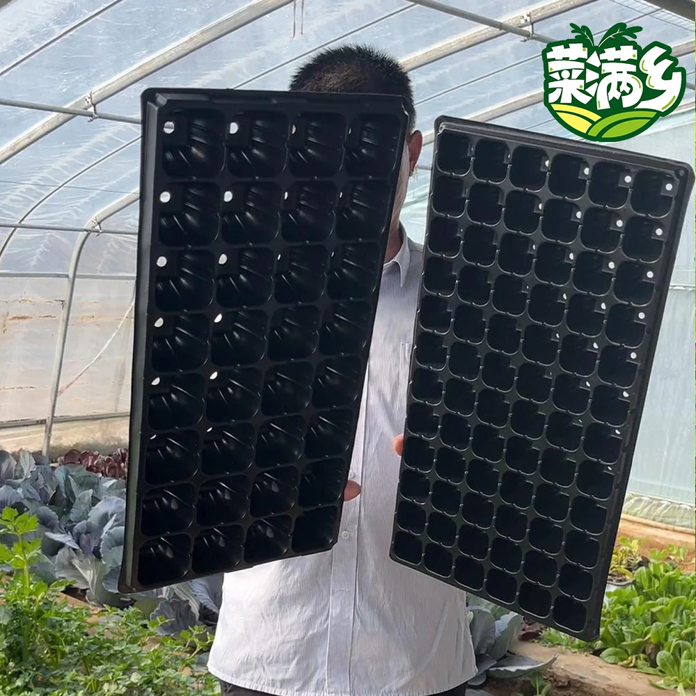 [育苗盘]优质加厚多肉育苗穴盘多种尺寸加厚蔬菜营养钵种植加厚