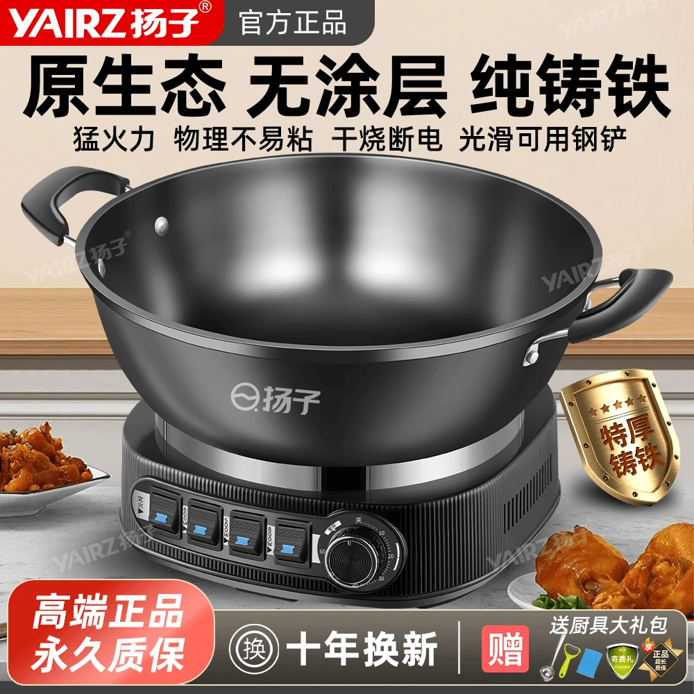 YANGZI/扬子家用多功能蒸煮炒炖电热锅一体式纯铸铁无涂层电炒锅