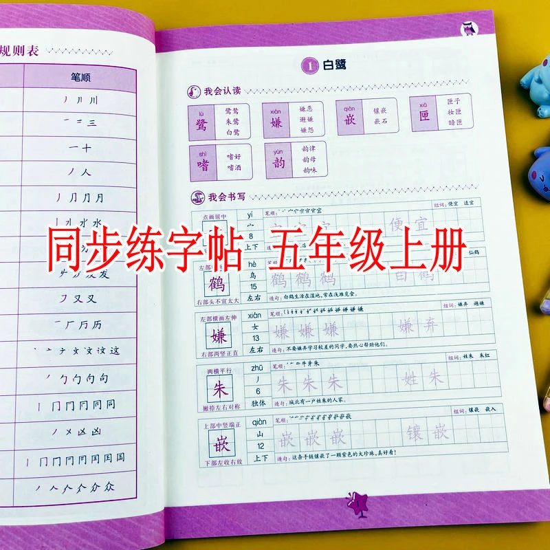 五年级上册同步练字帖小学语文写字课课练人教版课本生字练习本
