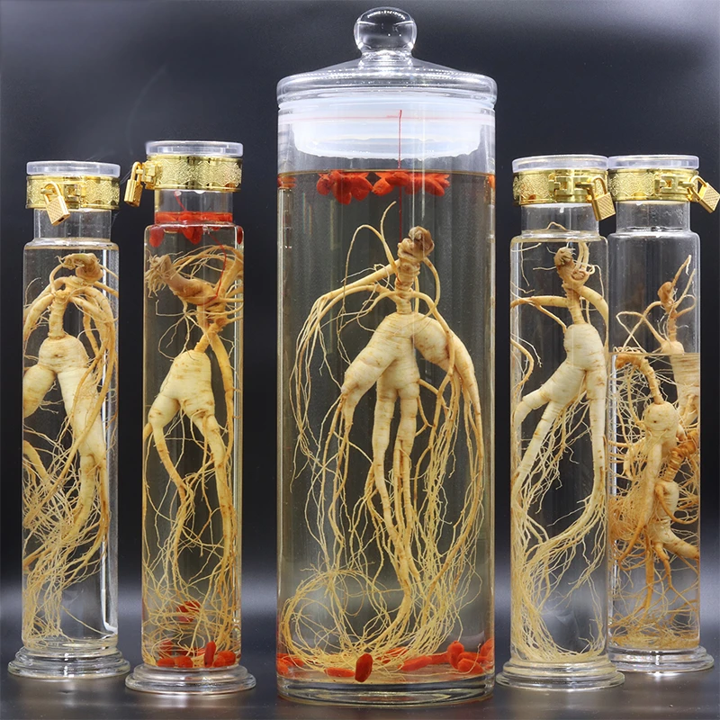 小楚哥直播链接 一物一卖价格不固定长白山野山参林下参野播籽货