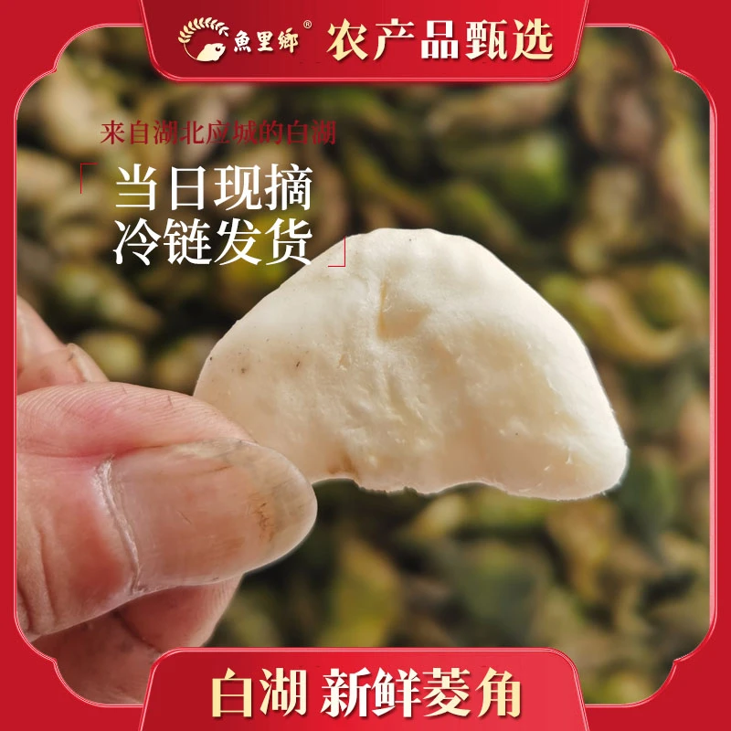 新鲜菱角 现摘发 嫩菱角湖北白湖青菱角带壳生棱角凌角