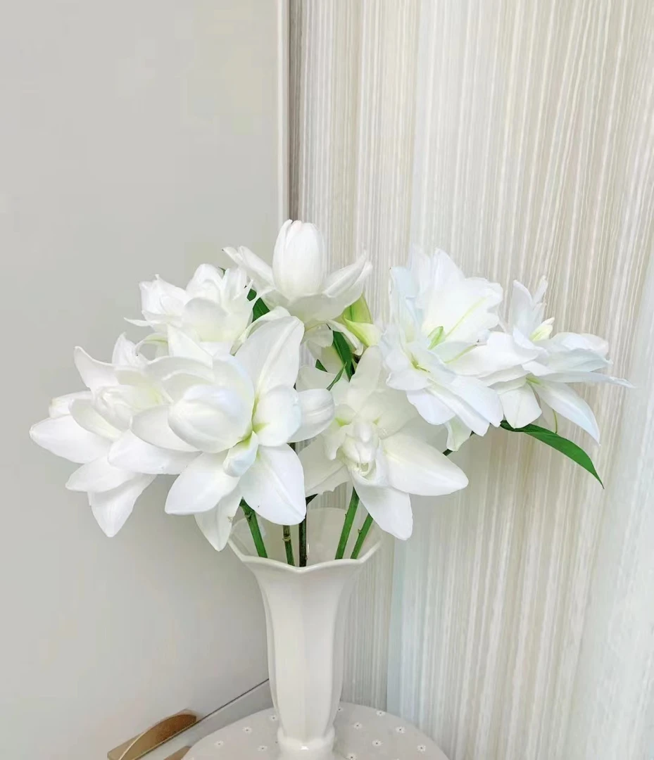 A级 莲花美人 重瓣香水百合