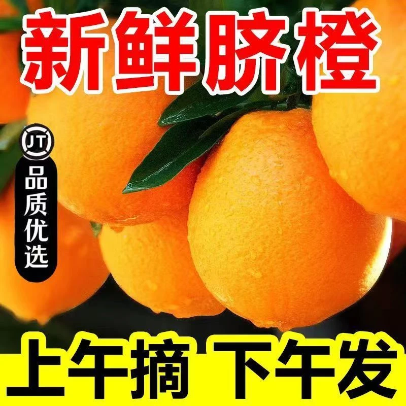 【新店半价】正宗赣南脐橙当季新鲜甜水果现采现摘多汁橙子产地包邮