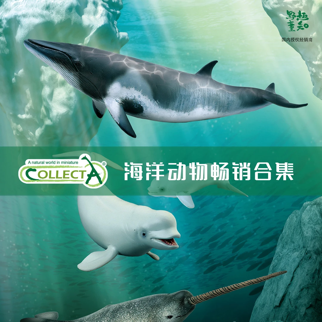 英国CollectA高仿真模型仿真儿童玩具海洋动物【鲸鱼鲨鱼虾蟹】