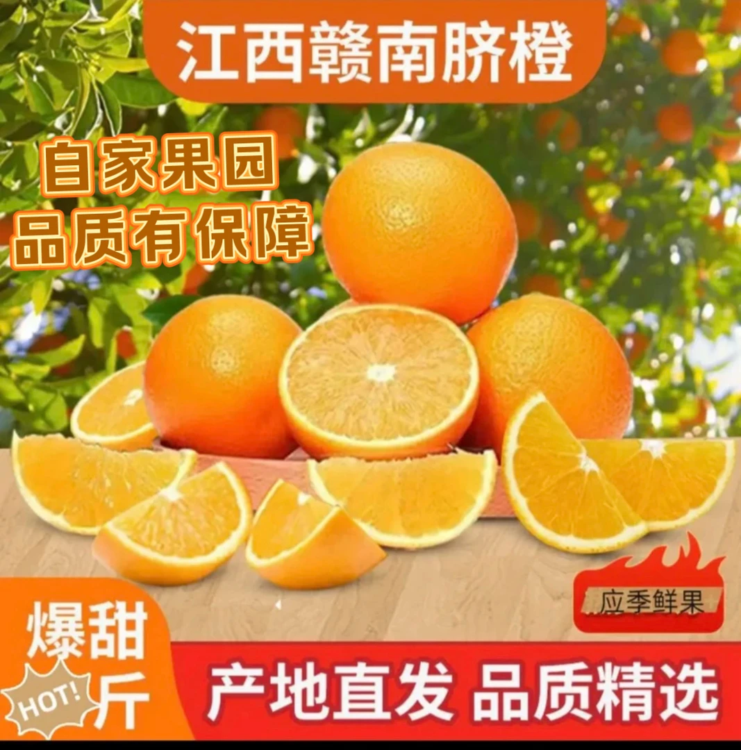 【正宗赣南寻乌脐橙】花小玉果园5斤装新鲜采摘现发