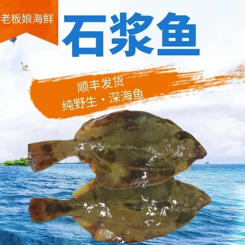 【呱】石浆鱼 速冻发货 三斤装 丹东东港本地纯野生深海鱼