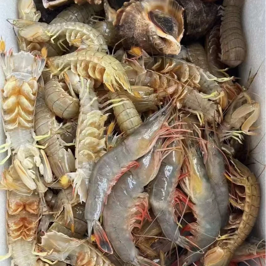 【呱】现场称重 以直播间为准 丹东东港海鲜 现场称重