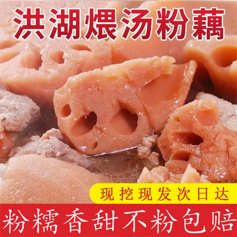 洪湖本地粉藕3斤煲汤莲藕现挖现发不粉包赔【尝鲜装】藕同城配送