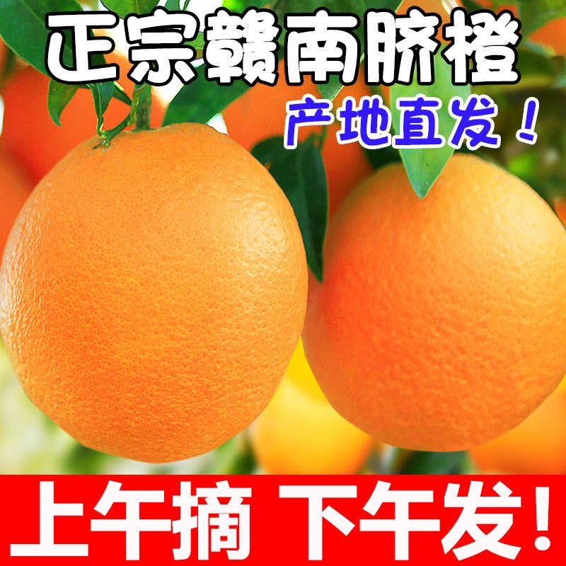 江西赣南脐橙现摘5-10斤鲜甜天然新鲜橙子当季水果正宗现货包邮