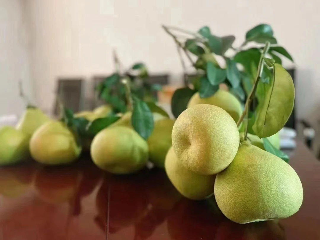 正宗仙游度尾文旦柚红心蜜柚子当季新鲜现摘孕妇应季水果