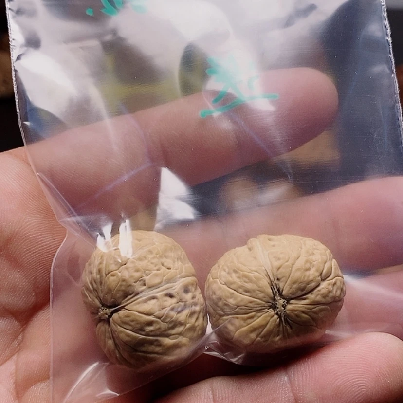 【闪购商品】文玩核桃吊坠楼**諾