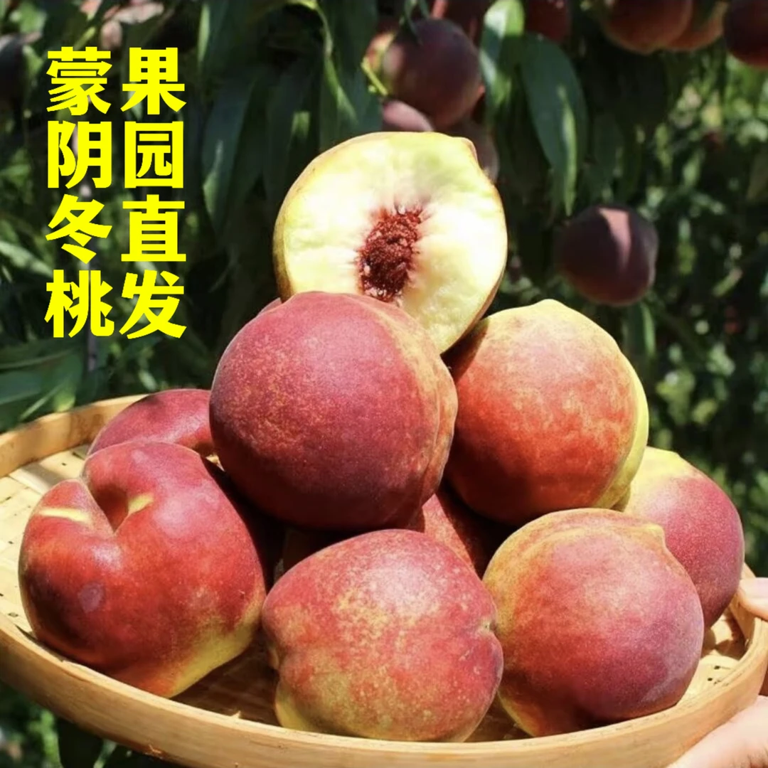 蒙阴蜜桃正宗现摘山东蜜桃脆甜爽口爆甜多汁蜜香桃味浓郁小冬桃