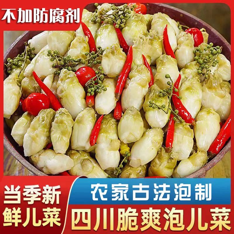 【不加防腐剂】四川古法土坛泡儿菜500g鲜嫩脆爽开胃下饭四川泡菜