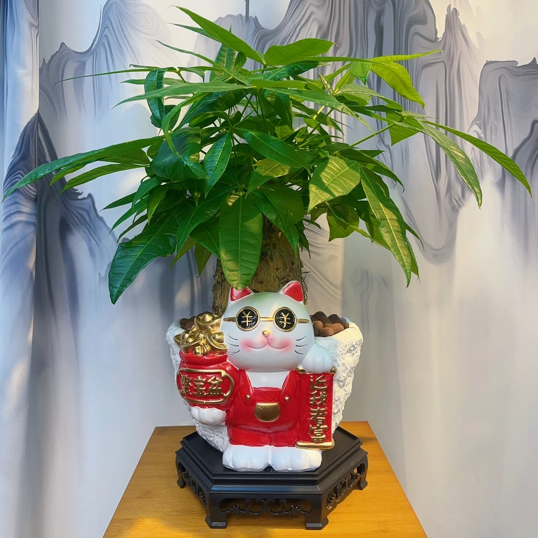 招财猫陶瓷盆老桩发财树室内高端盆栽