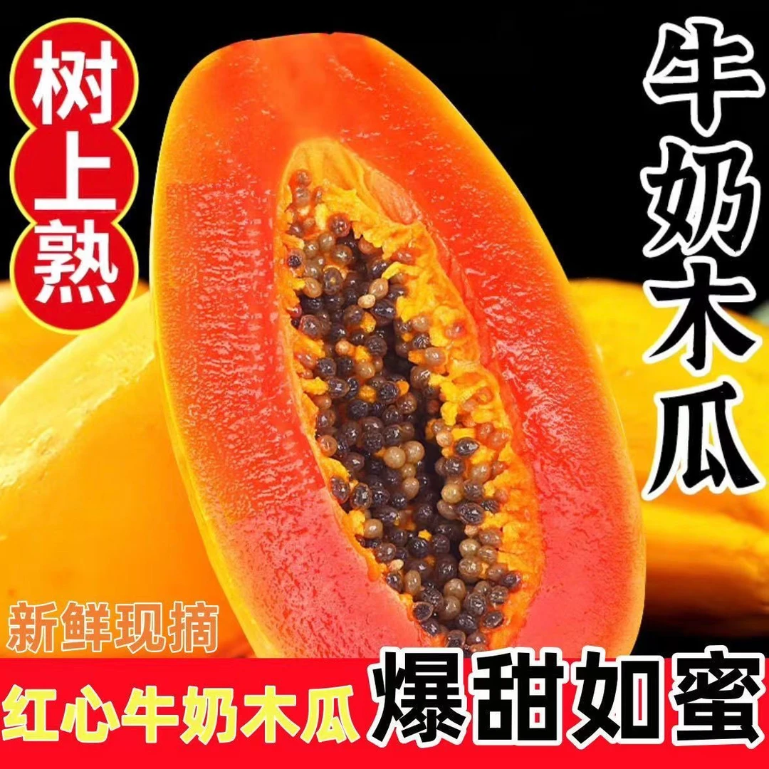 海南树上熟红心牛奶木瓜口感新鲜现摘现发水果发货包邮