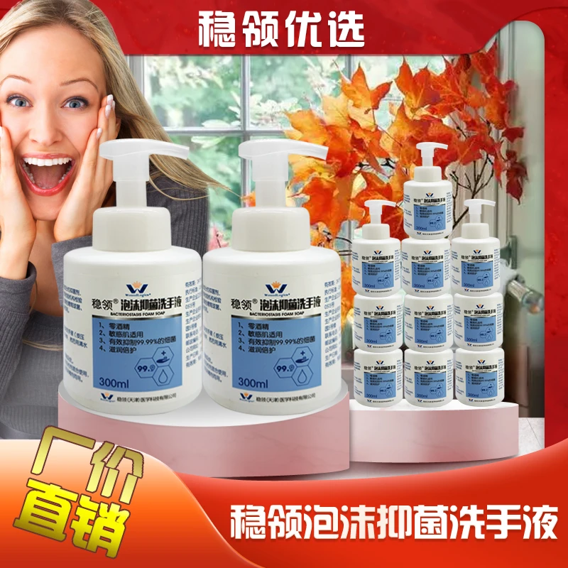 稳领泡沫抑菌洗手液300ml瓶装家用
