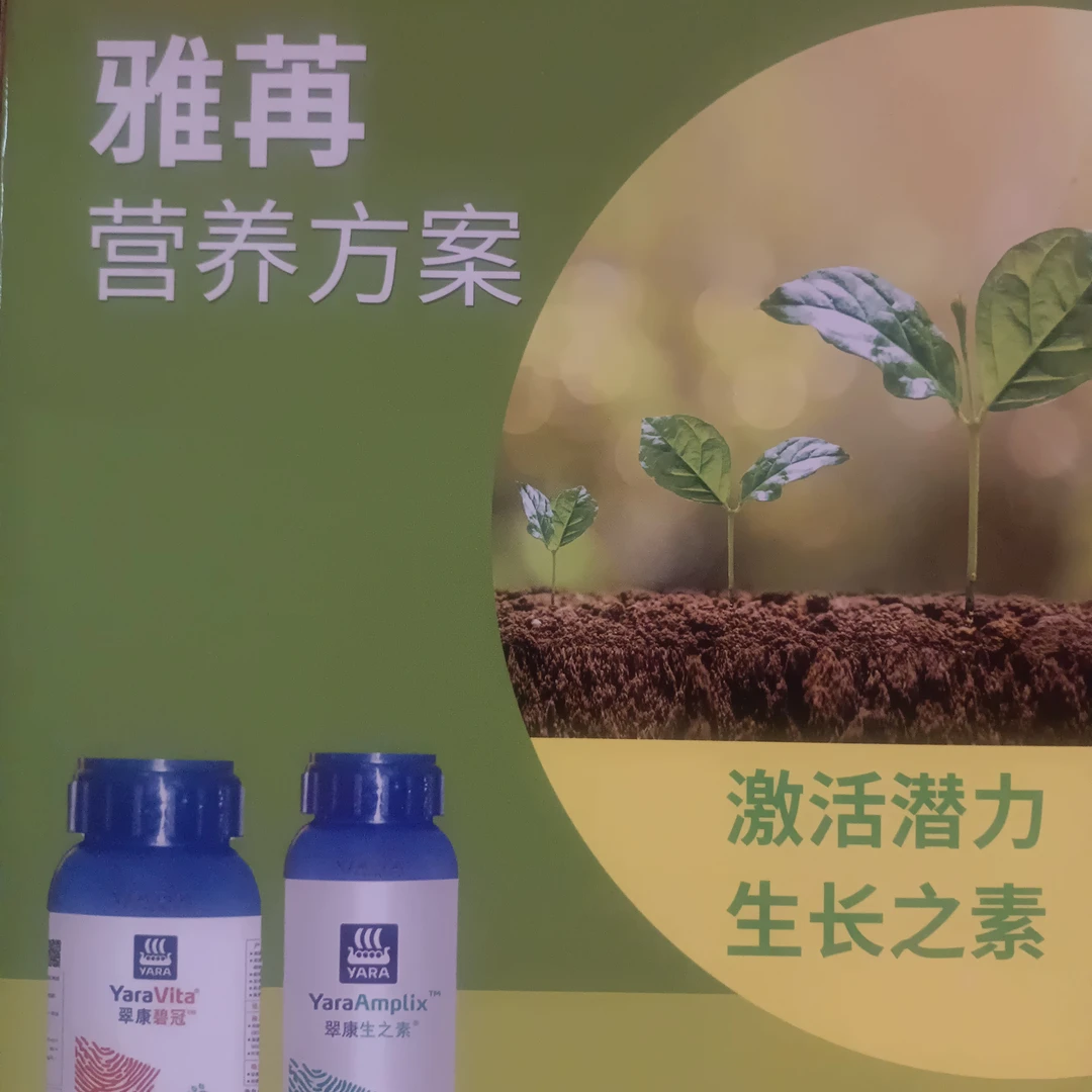 营养方案：生根，壮棵，补充微量元素