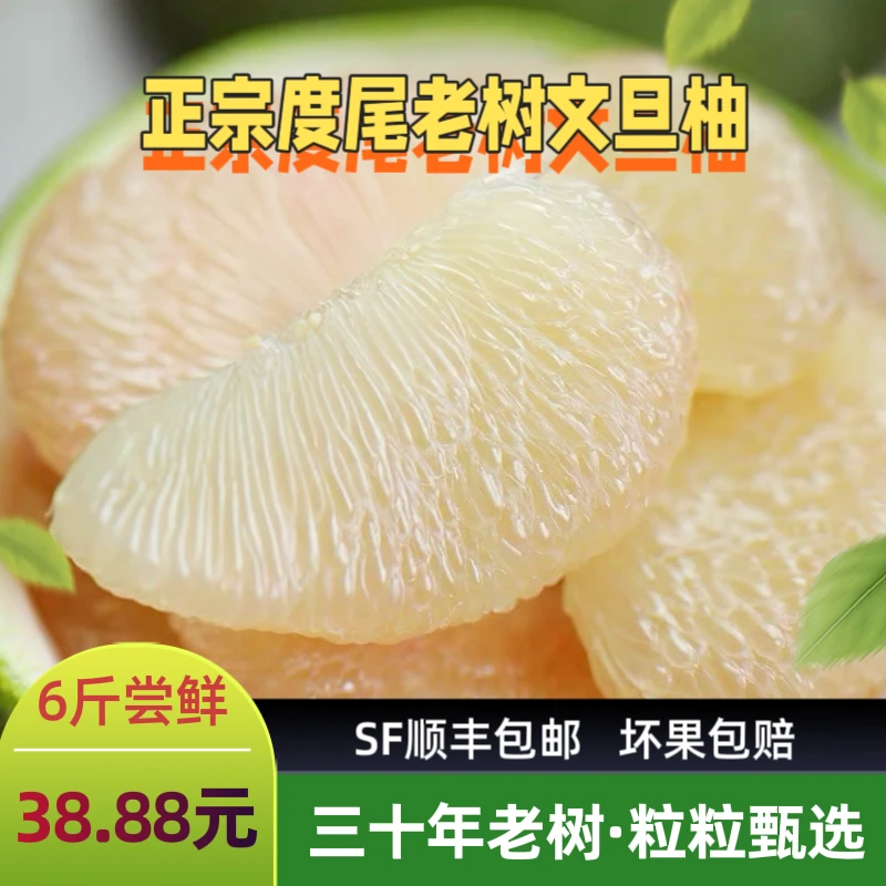 【顺丰包邮】度尾老树文旦柚孕妇水果30年果场直发福建文旦柚