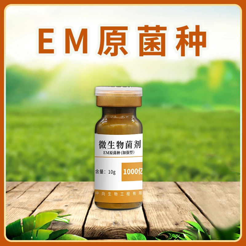 中向推荐农业使用em益生菌原菌种