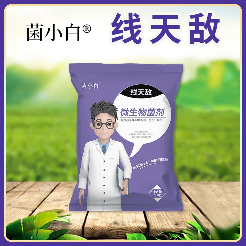 中向推荐菌小白线天敌微生物菌剂500G