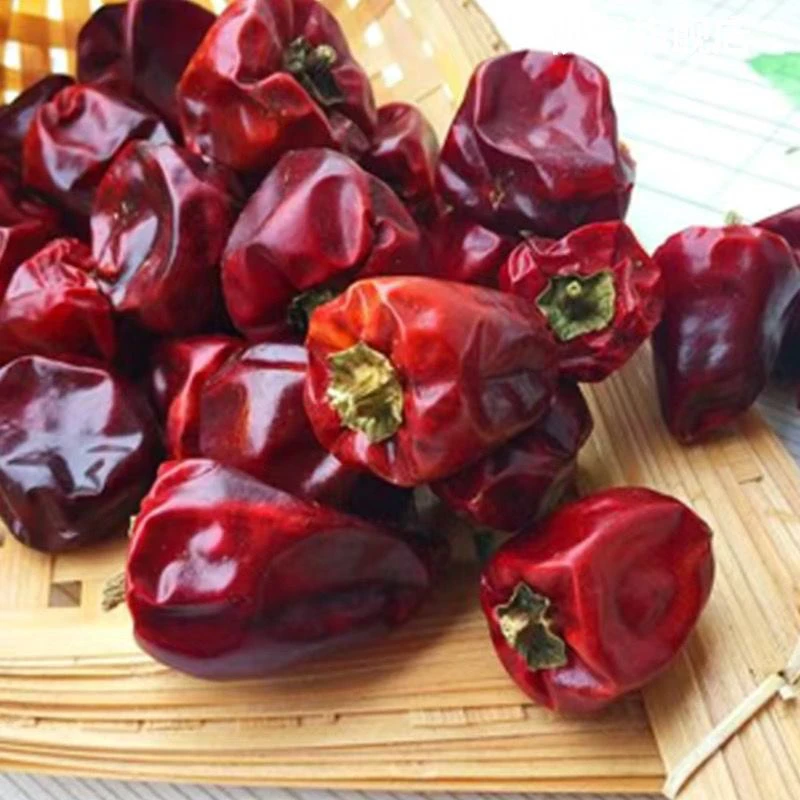 特香灯笼椒小个子微辣香辣辣椒优质灯笼椒干灯笼椒香锅炒菜微辣