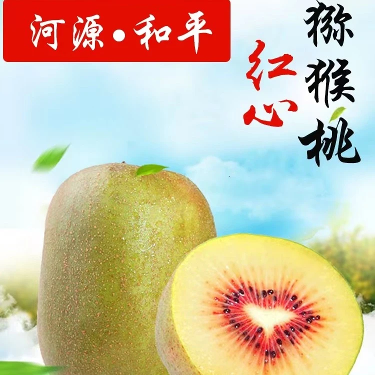 广东河源和平红阳客家红心猕猴桃新鲜当季水果孕妇奇异果 5斤包邮
