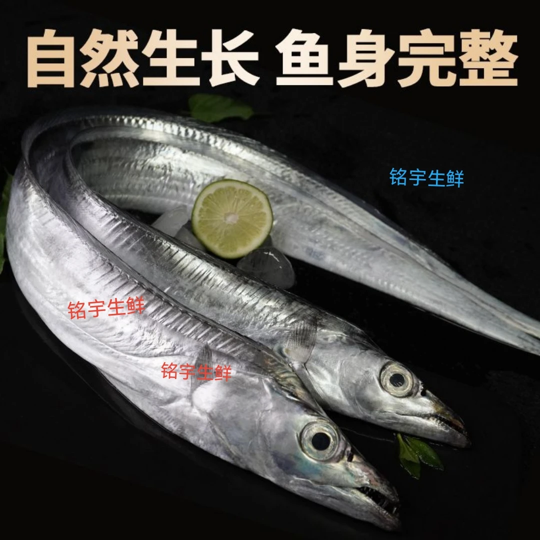 【整条钓带】新鲜速冻海钓带鱼  发货4斤左右 每条4-6两  到手7-8条