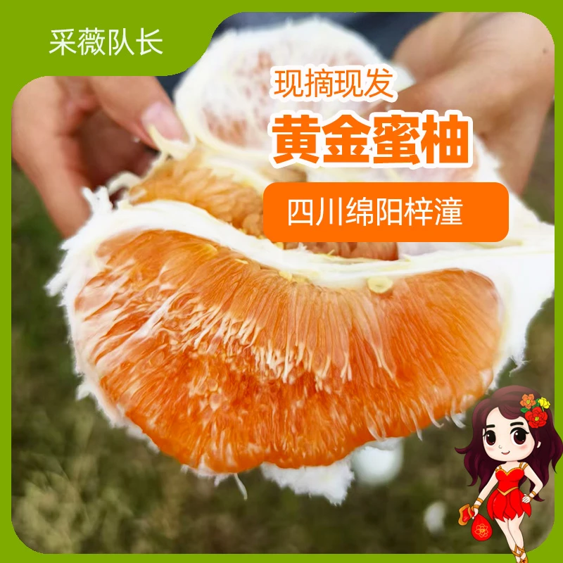 黄金蜜柚黄肉酸甜不苦不打甜蜜素四川绵阳果园现摘现发应季水果