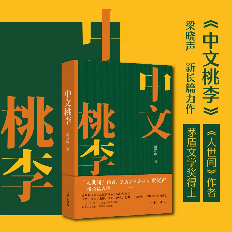 中文桃李 正版书籍精选好书