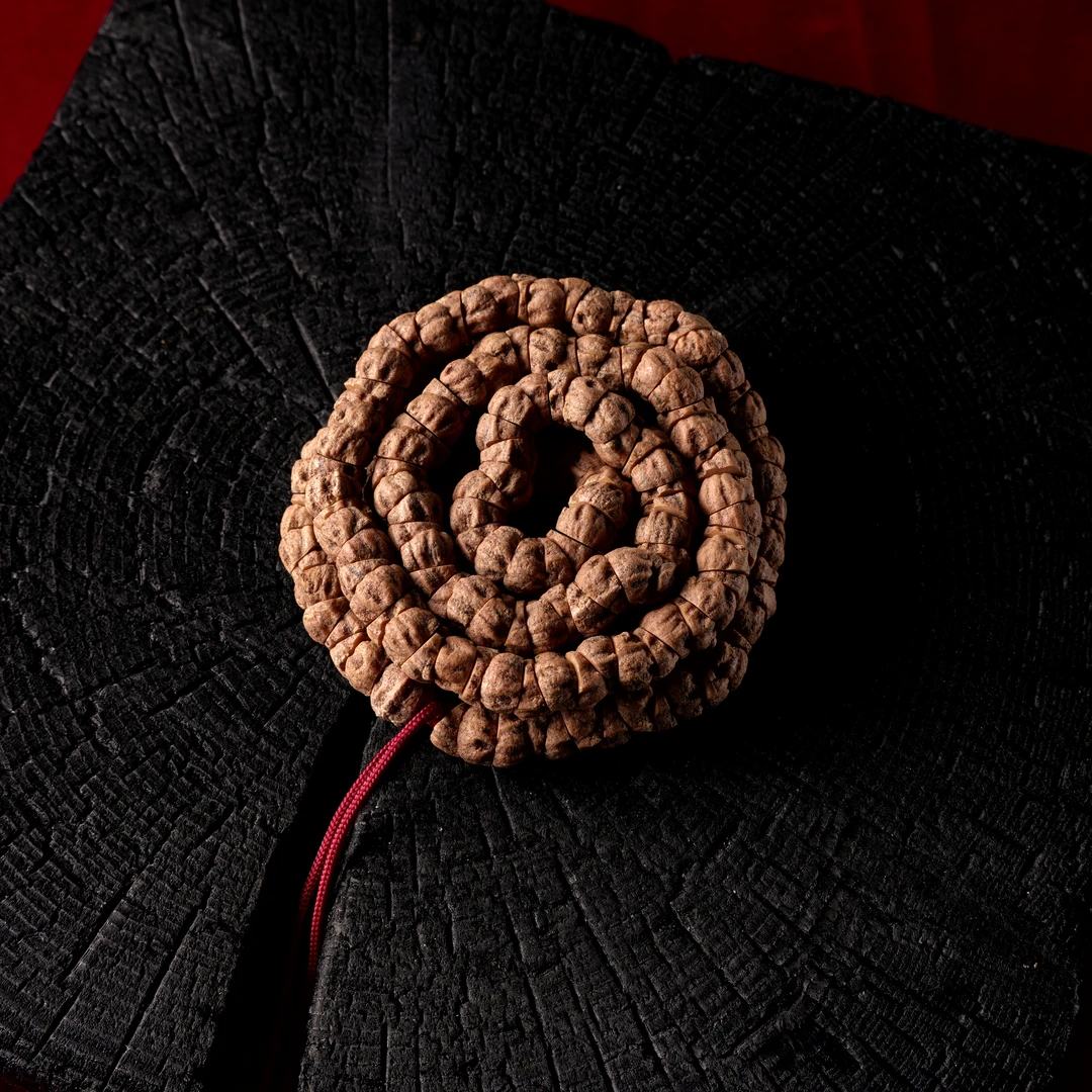 【朝奉文玩】柏香籽（编号J764 天然树籽文玩柏香籽长串尺寸6+