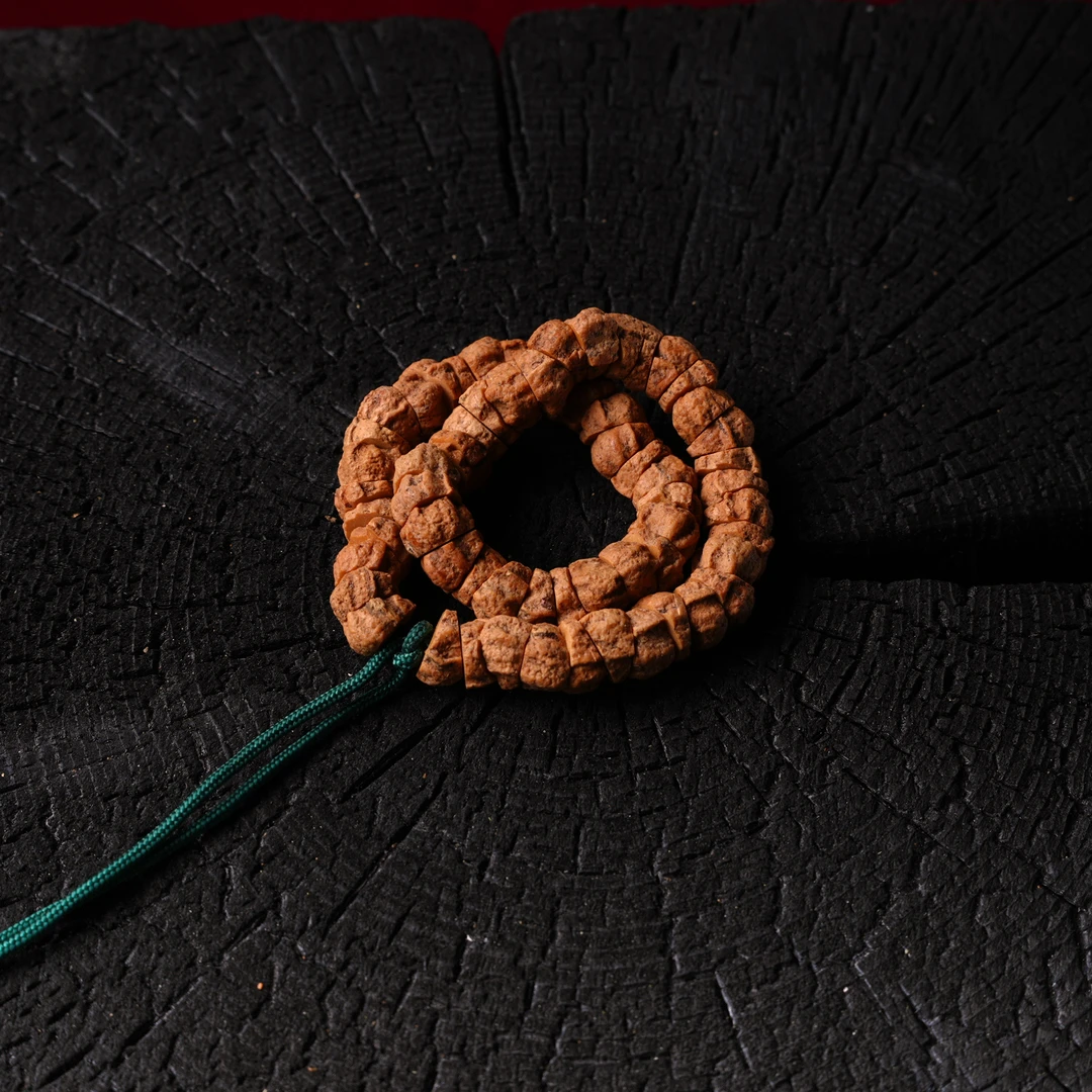 【朝奉文玩】柏香籽（编号 J493 天然文玩柏香籽大肠手持尺寸6+